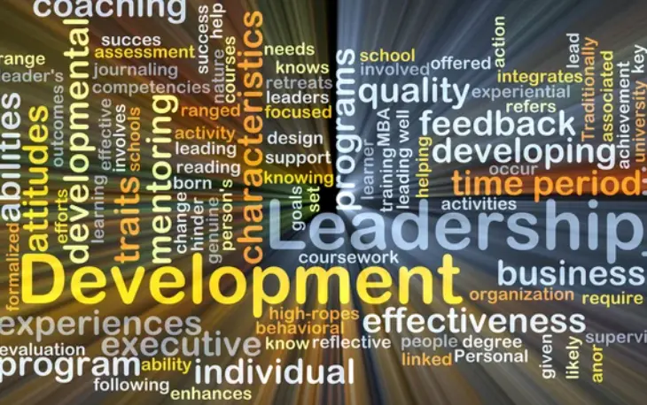 Leadership Development Through Competency-based Assessment